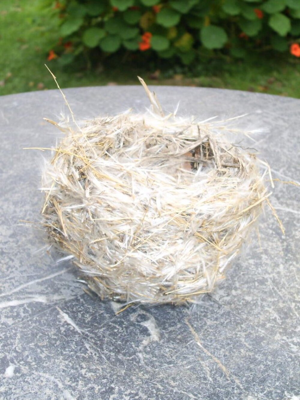 Homemade Lifelike Looks so REAL All Natural Birds Nest